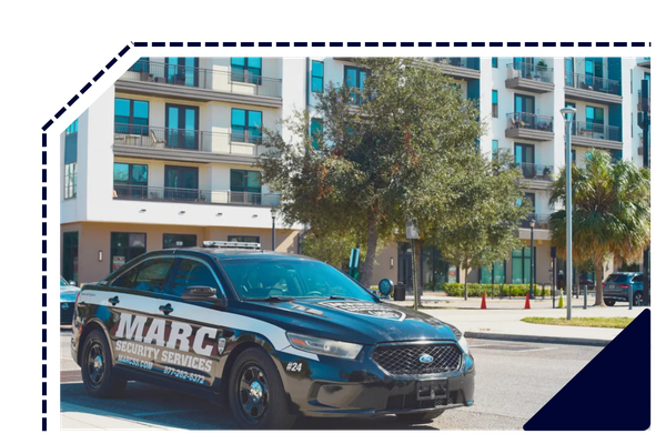 Untitled design (31)